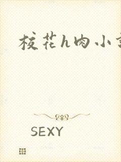 校花h肉小说