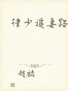 律少追妻路漫漫