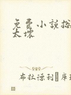 免费小说总裁别太坏封面