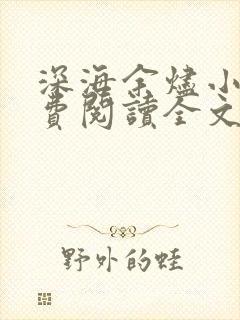 深海余烬小说免费阅读全文无窗口封面