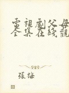 电视剧父母爱情全集在线观看免费封面