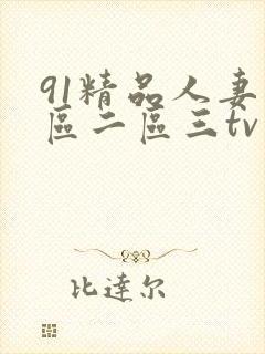 91精品人妻一区二区三tv封面