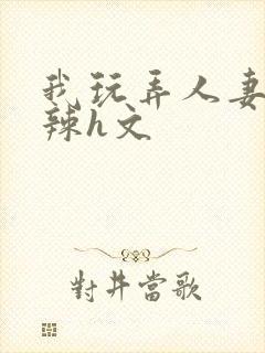 我玩弄人妻系列辣h文