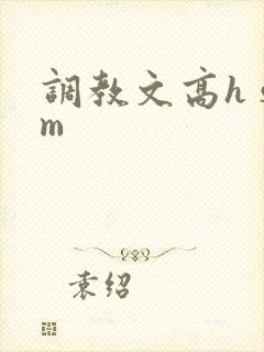 调教文高h sm