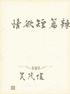 情欲短篇辣文