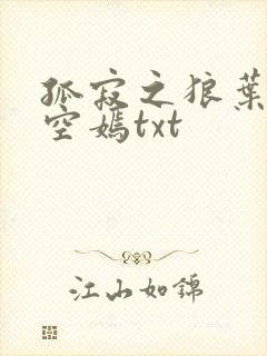 孤寂之狼叶凡司空嫣txt