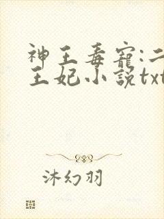 神王毒宠:二嫁王妃小说txt