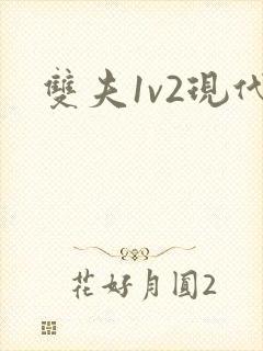 双夫1v2现代