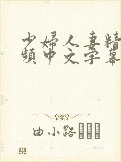 少妇人妻精彩视频中文字幕日韩精品