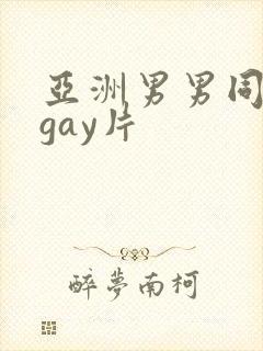 亚洲男男同性恋gay片