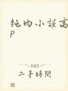 纯肉小说高hnp