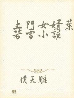 上门女婿叶凡唐若雪小说封面