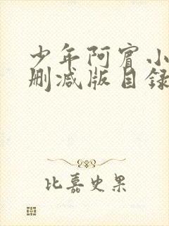 少年阿宾小说无删减版目录大全