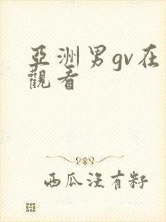 亚洲男gv在线观看