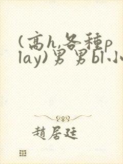 (高h,各种play)男男bl小说