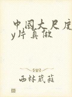 中国大尺度gay片真做