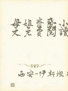 母姐齐飞小说全文免费阅读最新章节封面