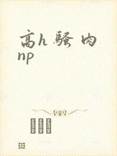 高h 骚 肉 np