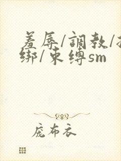 羞辱/调教/捆绑/束缚sm封面