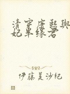 清穿康熙与太子妃半缘君封面