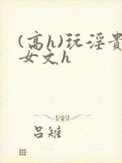 (高h)玩淫贵女文h