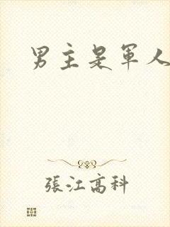男主是军人h文