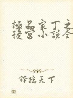 极品家丁之风流后宫小说全文阅读