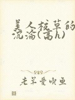 美人校草的堕落沉沦(高h)