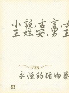小说,古言,女主姓安,男主是个将军