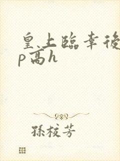 皇上临幸后宫np高h