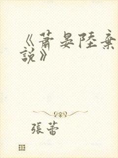 《萧晏陆弃娘小说》