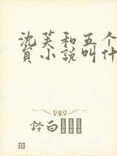 沈芙和五个消防员小说叫什么封面