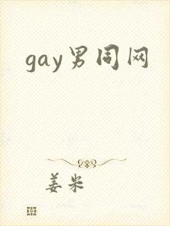 gay男同网