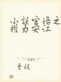 小说官场之绝对权力安江