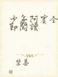 少年阿宾全文章节阅读