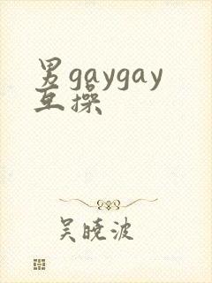 男gaygay互操