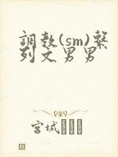 调教(sm)系列文男男封面