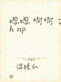 嗯嗯 啊啊 高h np