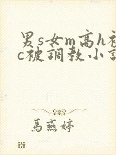 男s女m高h被c被调教小说封面