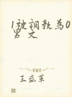 1被调教为0男男 文