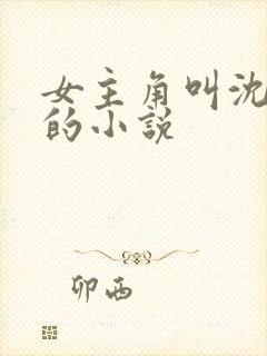 女主角叫沈初夏的小说