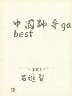 中国帅哥gay best