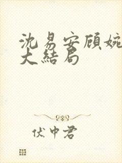 沈易安顾婉后续大结局
