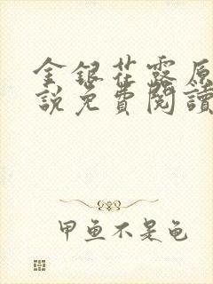 金银花露原著小说免费阅读