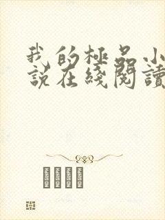 我的极品小姨小说在线阅读全文封面