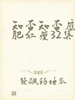 知否知否应是绿肥红瘦32集