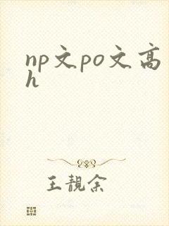 np文po文高h