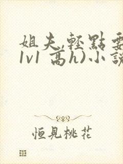 姐夫,轻点要(1v1 高h)小说