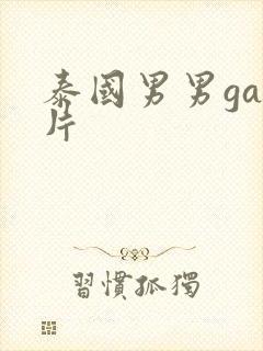 泰国男男gay片封面