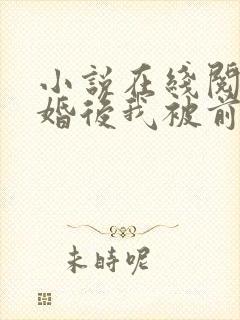 小说在线阅读离婚后我被前夫缠上了封面